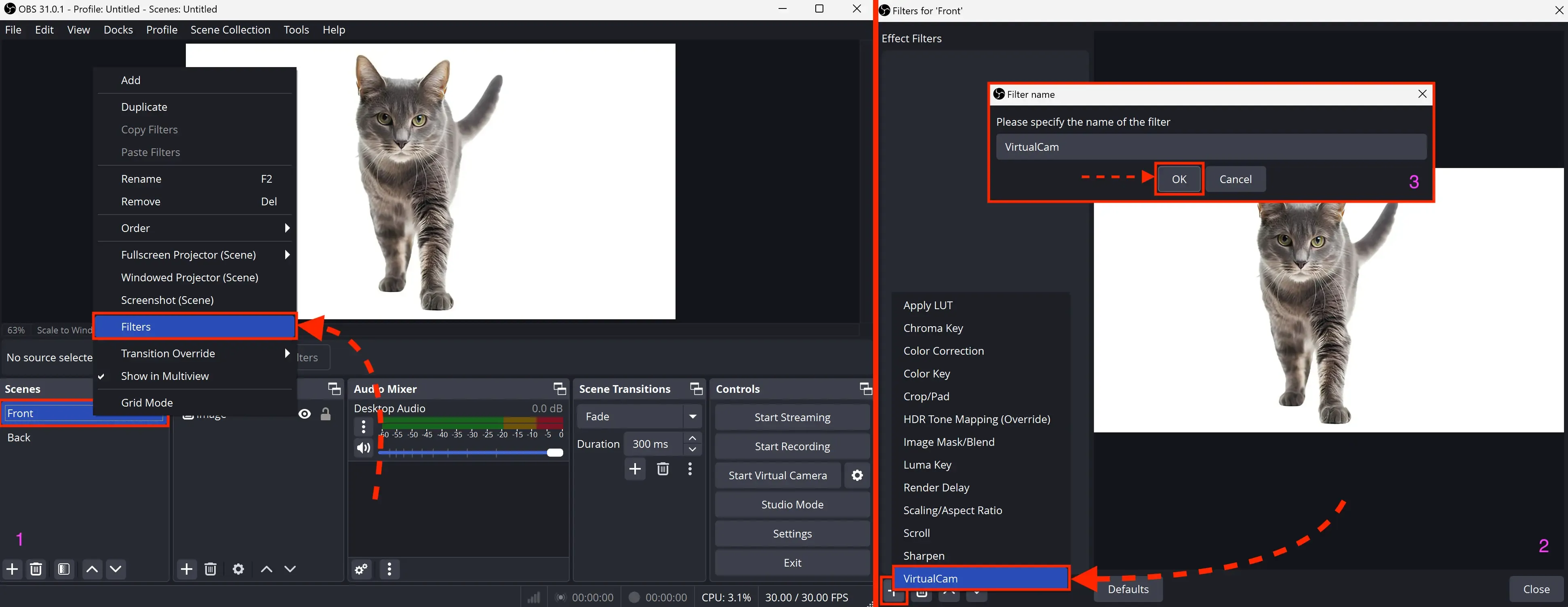 Using LS with OBS Studio - img 12