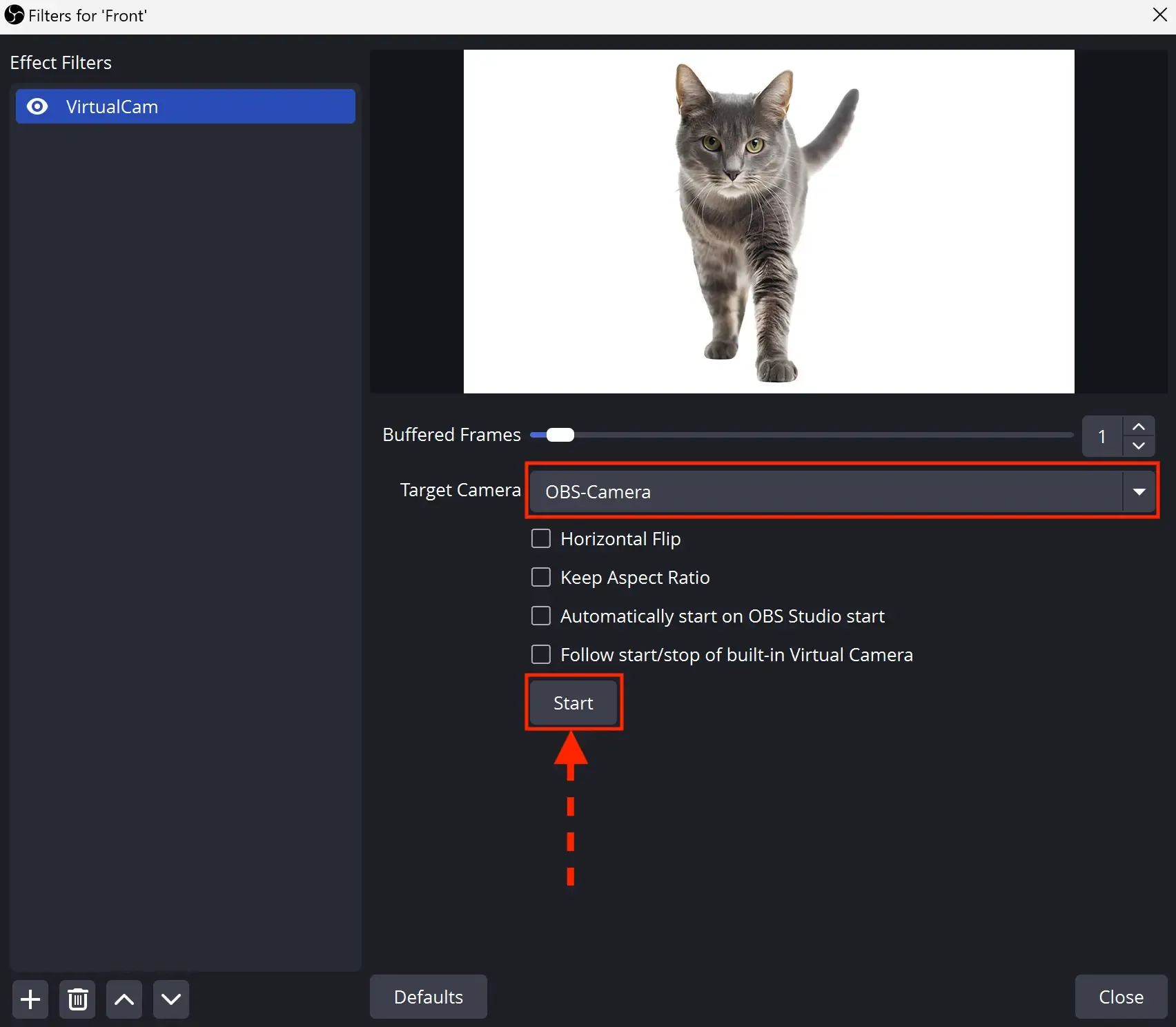 Using LS with OBS Studio - img 13
