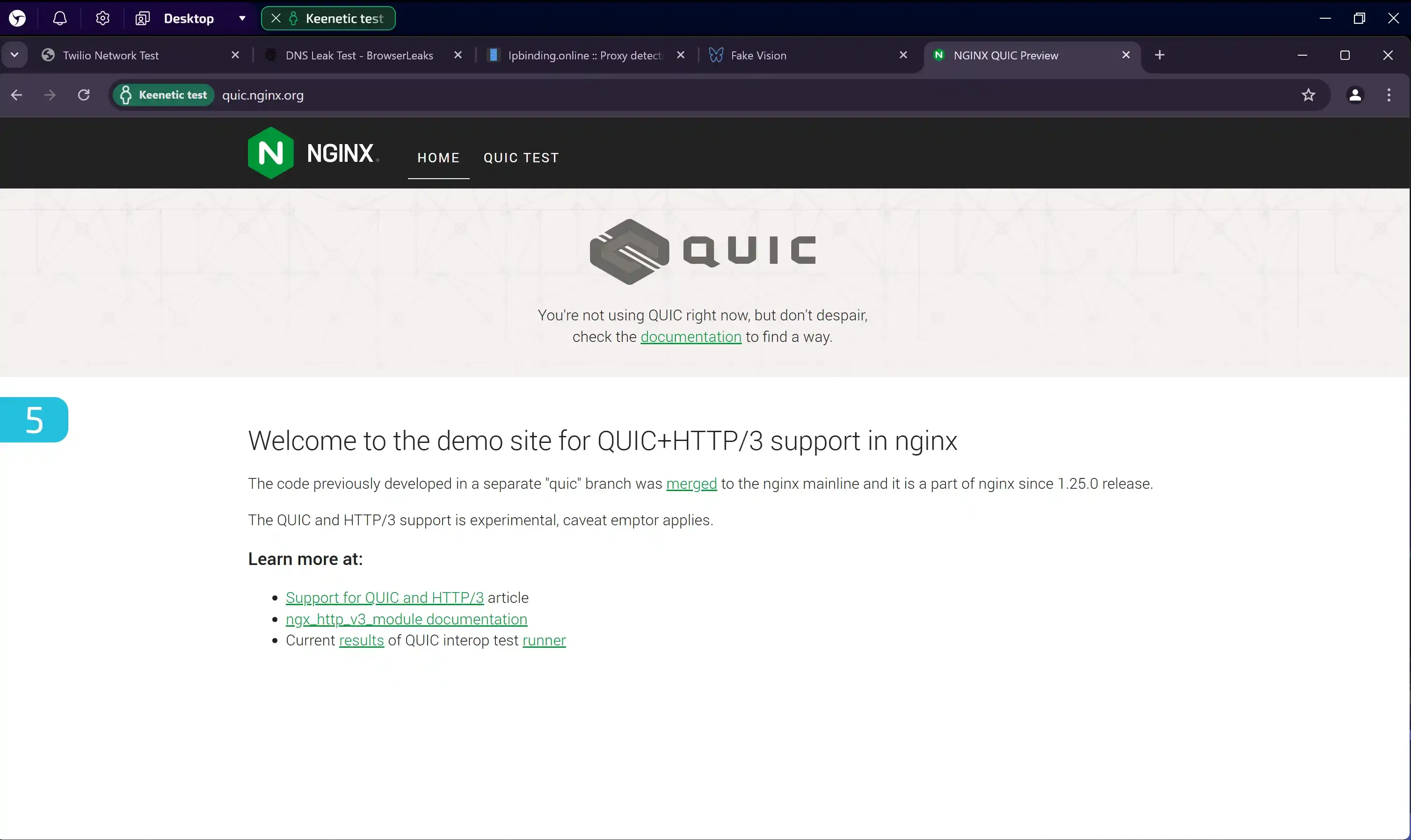 How to Properly Proxy a System Through a Router? - img 37