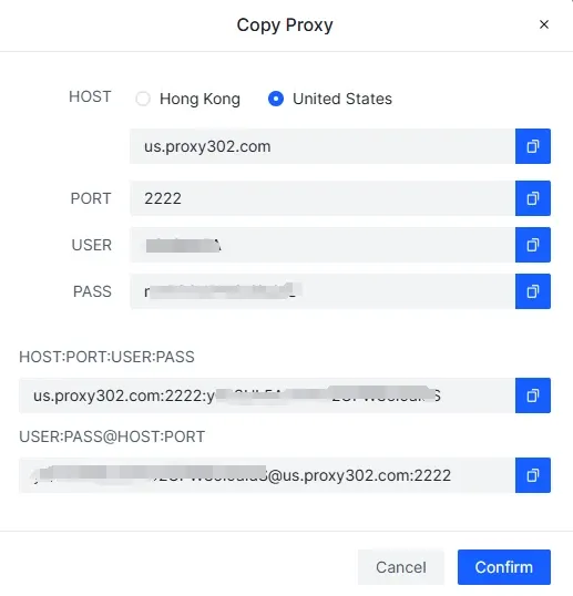 Guide to Working with Proxy 302 - img 2